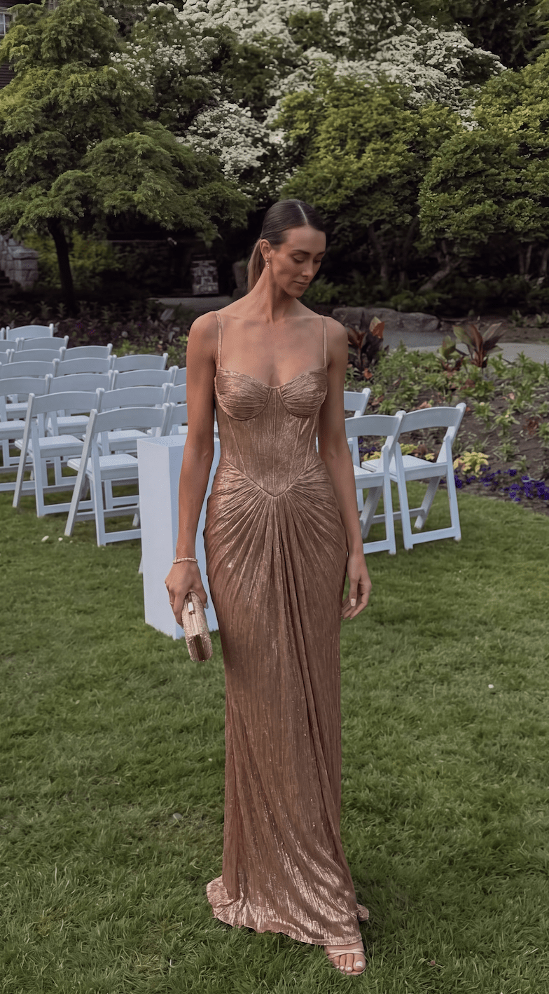 Aisena Corset Pleated Gown